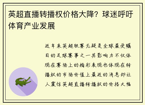 英超直播转播权价格大降？球迷呼吁体育产业发展