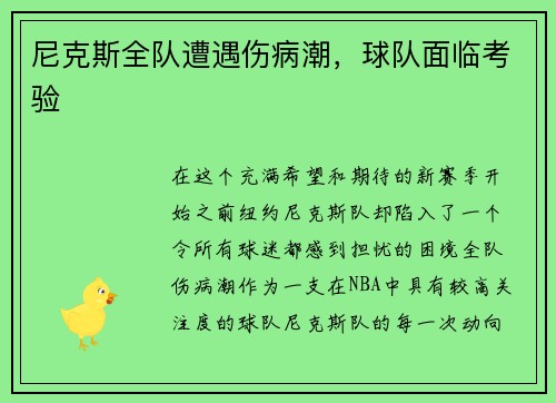 尼克斯全队遭遇伤病潮，球队面临考验